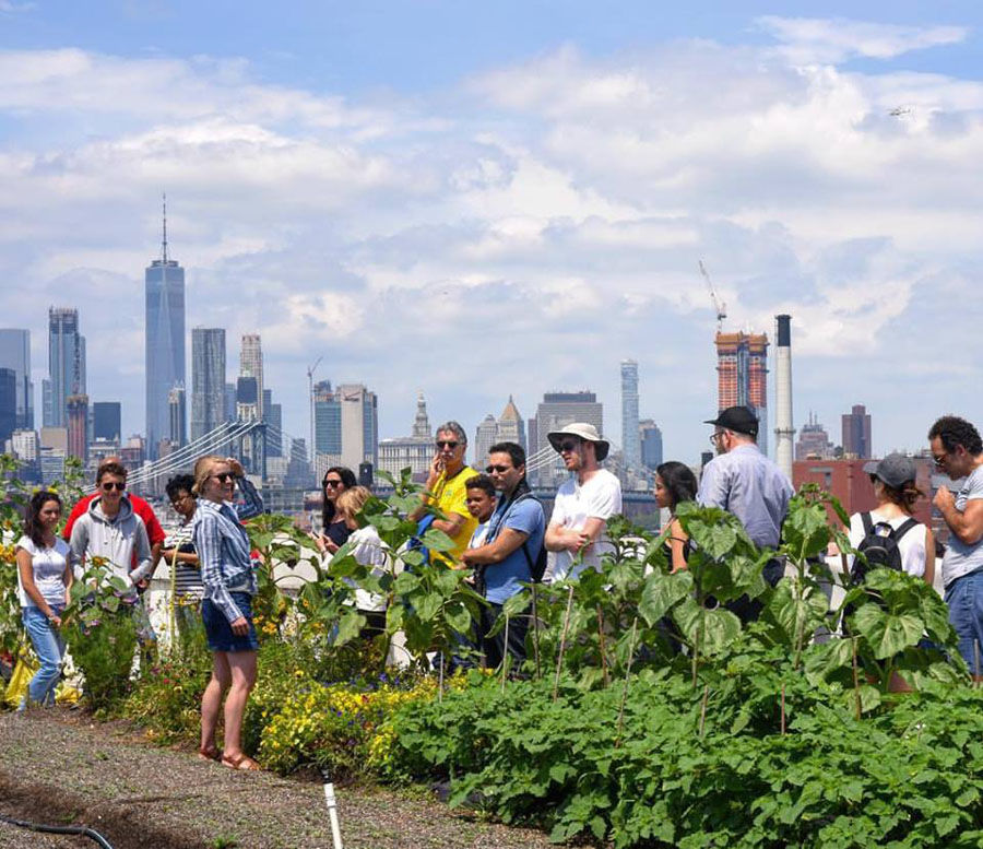 Pourquoi les fermes urbaines pourraient rendre les marchés de produits frais obsolètes